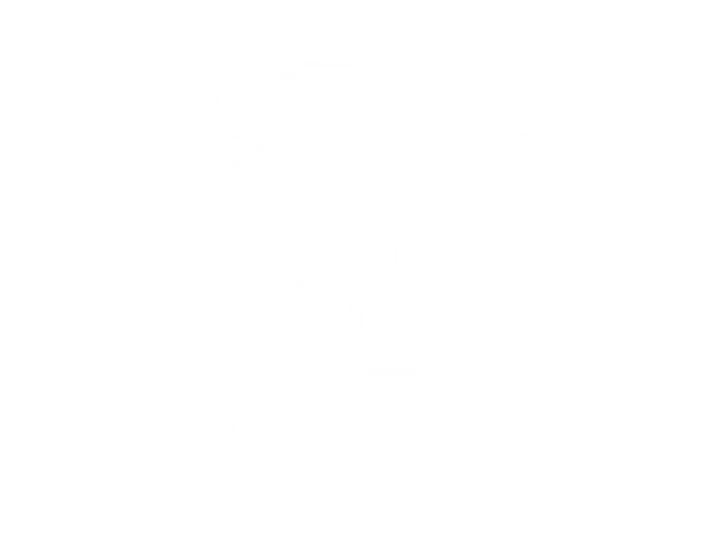 Taom